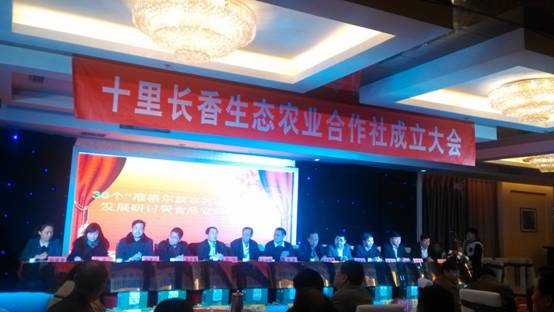 走過十里長川，拉開“十里長香”品牌的序幕