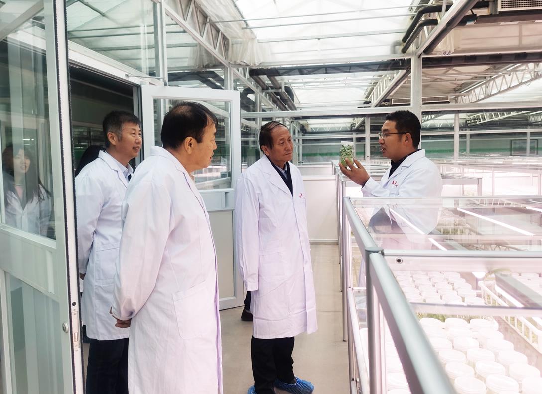 自治區(qū)級龍頭企業(yè)審核工作進(jìn)行時