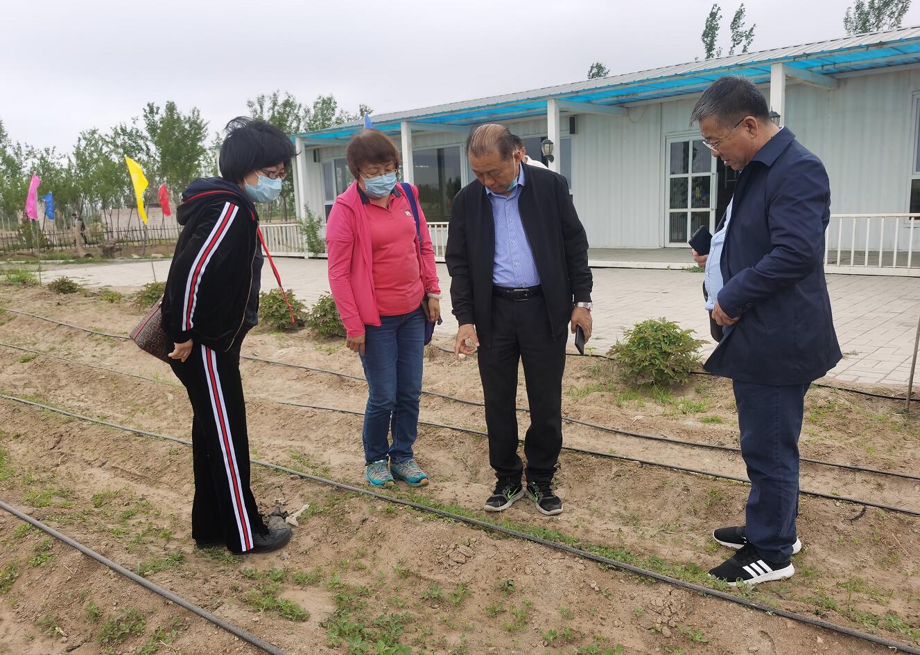 林永亮執(zhí)行會(huì)長到國豆公司考察調(diào)研