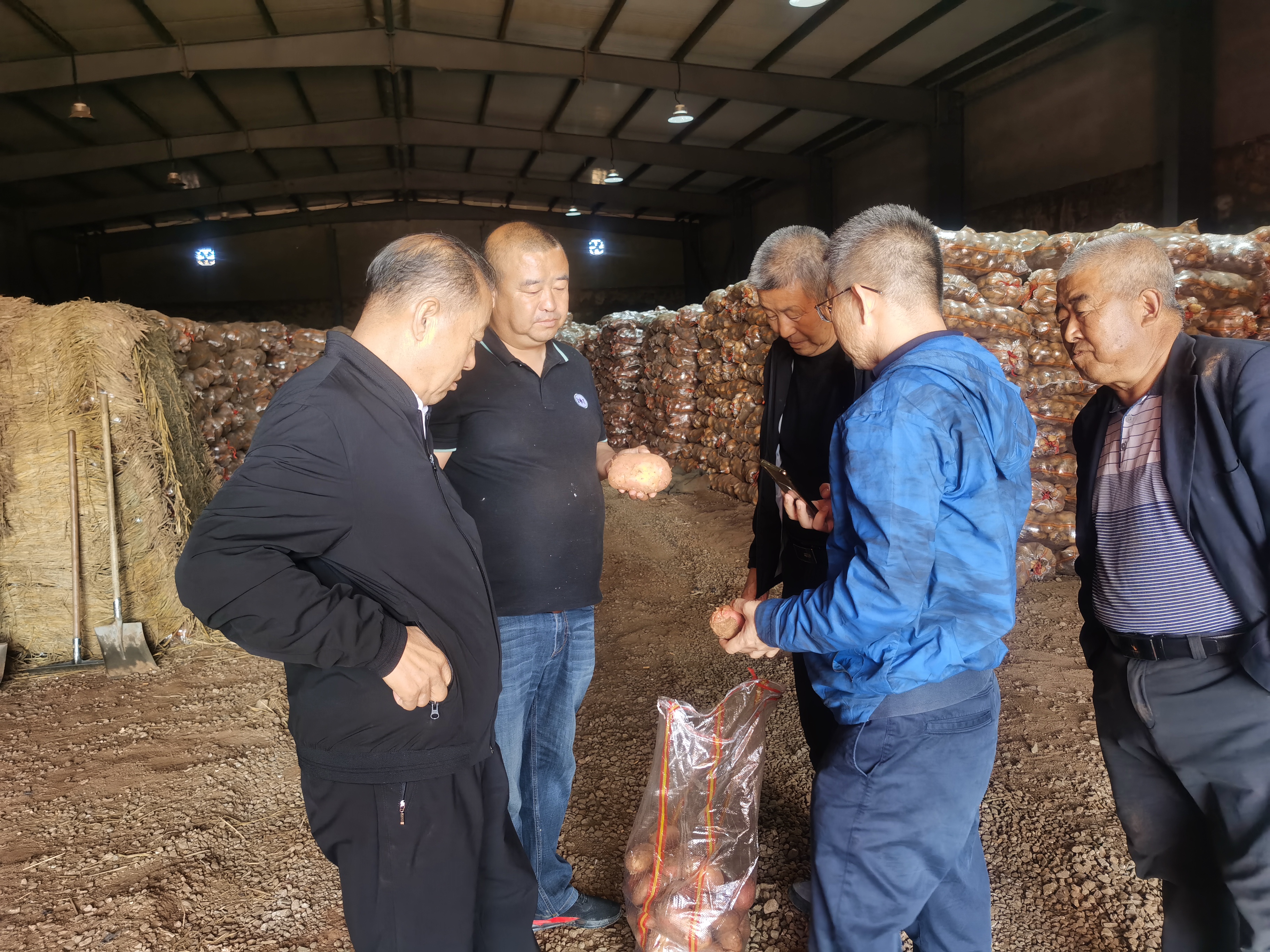 資源對(duì)接，互惠共贏 借助商協(xié)會(huì)平臺(tái)優(yōu)勢助力內(nèi)蒙古馬鈴薯 企業(yè)開拓山東市場